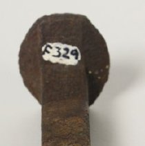 RR spike - underside